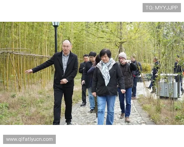 鼎龙娱乐加强版权保护与内容创新，确保平台内容的合法性与多样性发展
